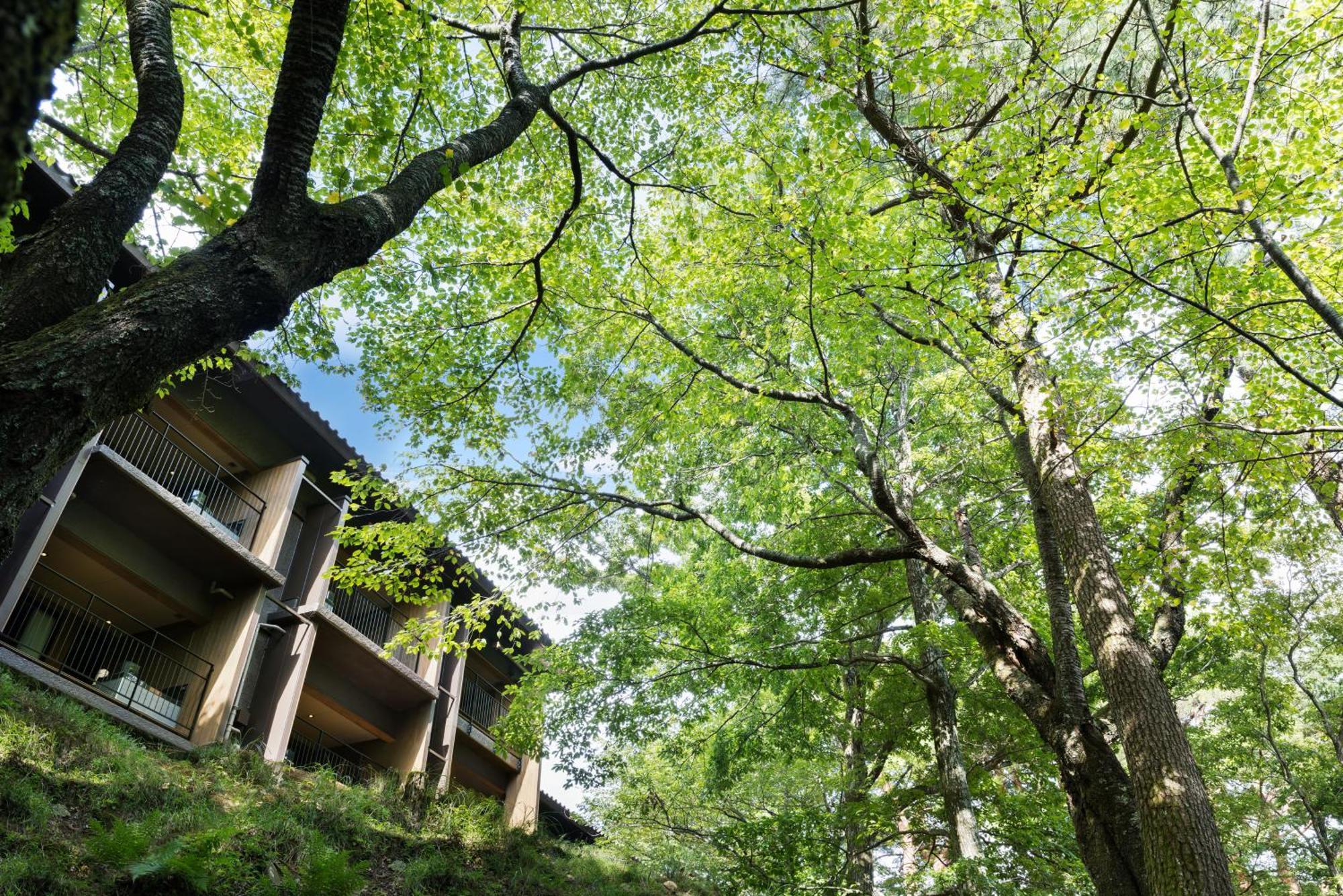 Laforet Shuzenji Sanshisuimei Bán đảo Izu Ngoại thất bức ảnh